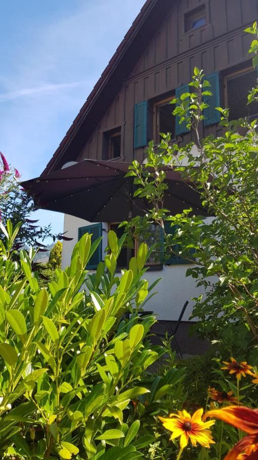 Chill&Sleep Bad Ischl Apartment Екстериор снимка