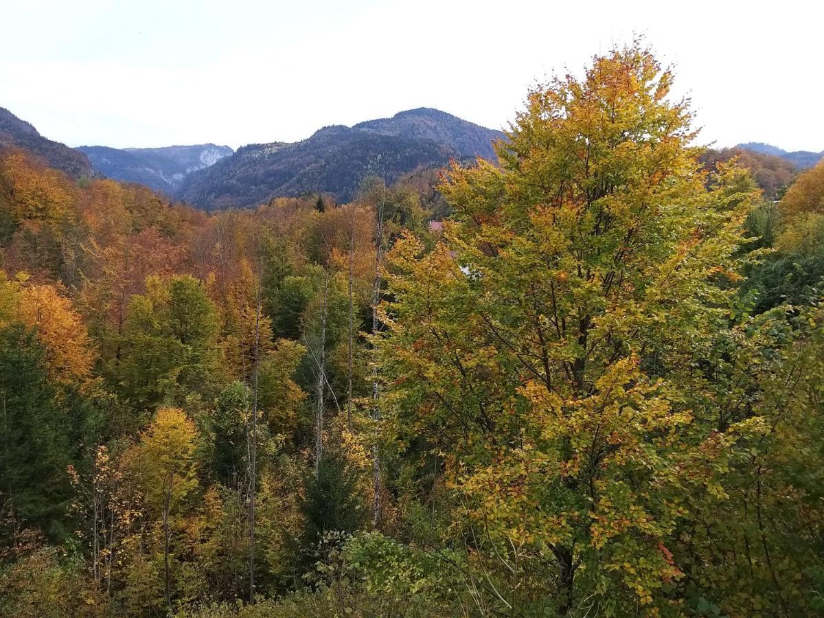 Chill&Sleep Bad Ischl Apartment Екстериор снимка