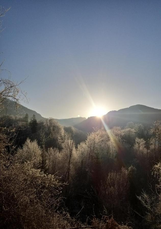 Chill&Sleep Bad Ischl Apartment Екстериор снимка