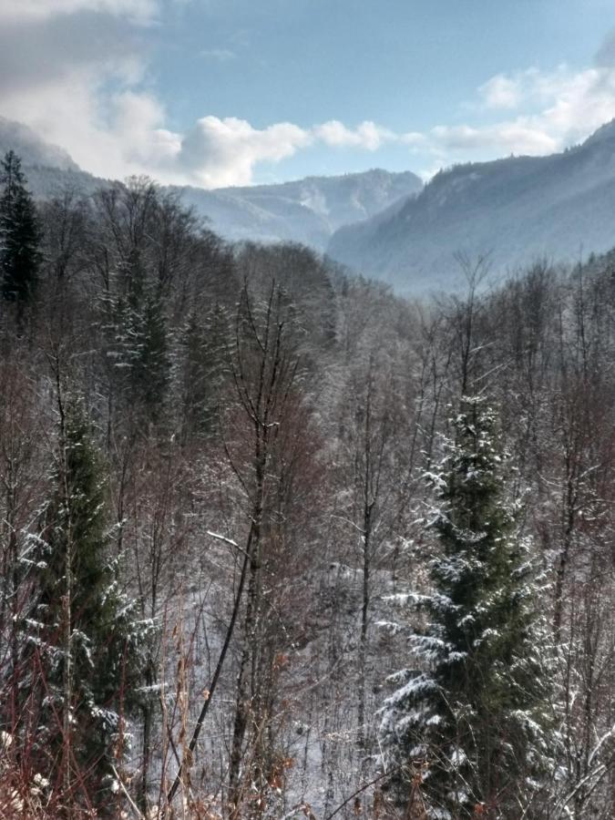 Chill&Sleep Bad Ischl Apartment Екстериор снимка