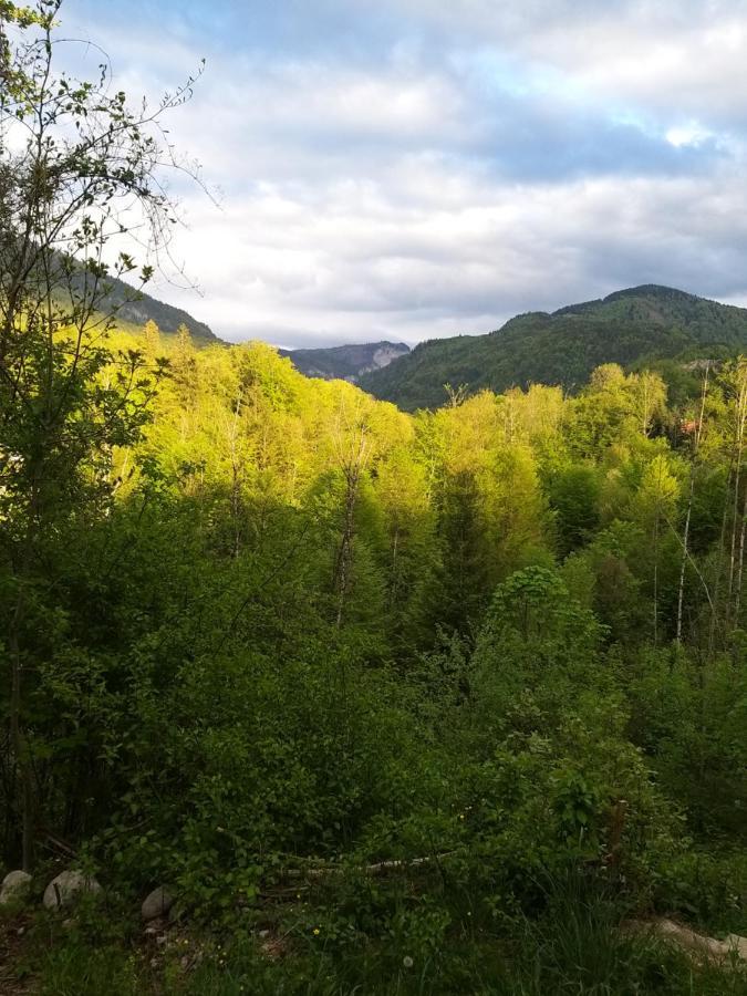Chill&Sleep Bad Ischl Apartment Екстериор снимка