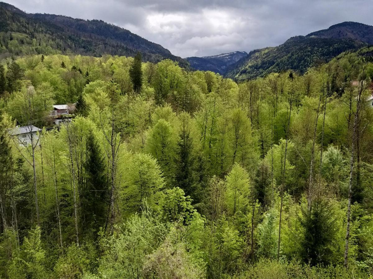 Chill&Sleep Bad Ischl Apartment Екстериор снимка