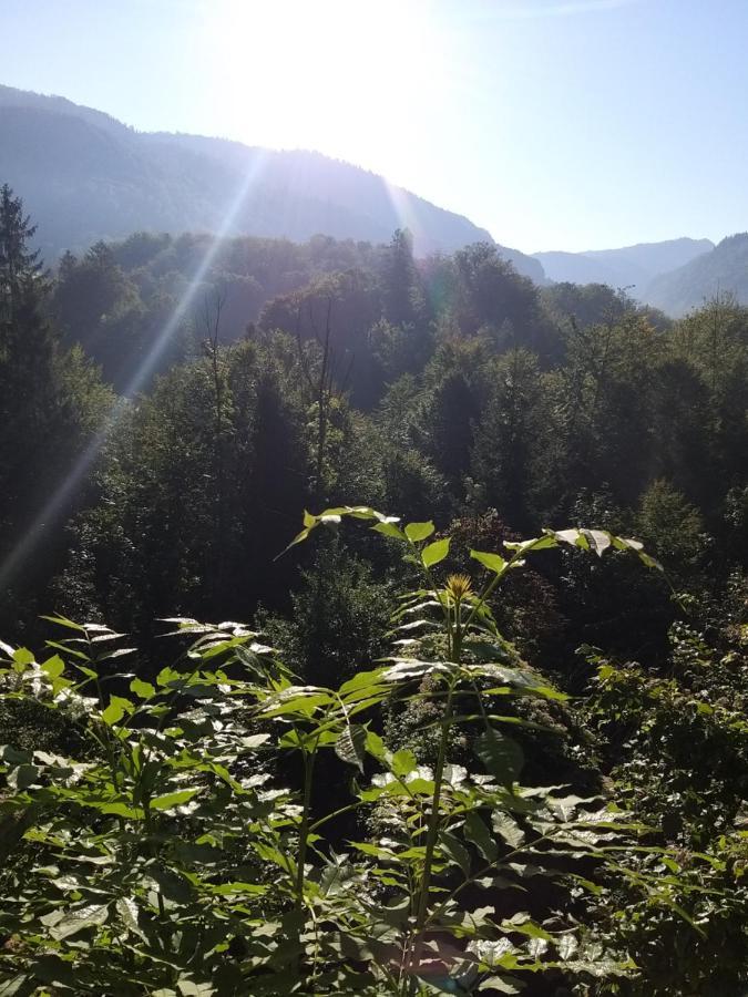 Chill&Sleep Bad Ischl Apartment Екстериор снимка