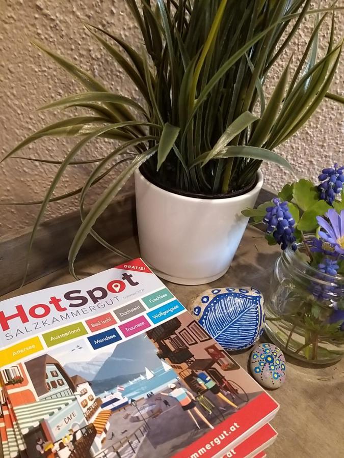 Chill&Sleep Bad Ischl Apartment Екстериор снимка
