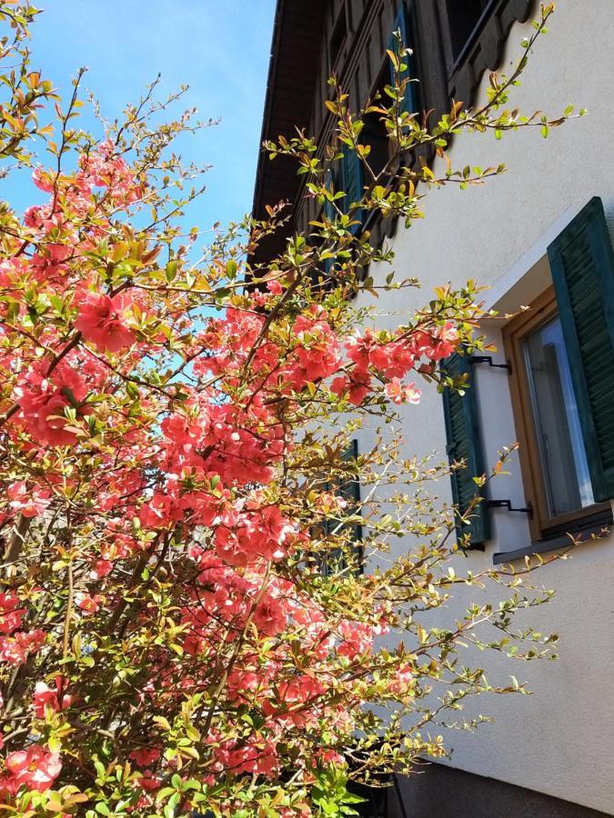 Chill&Sleep Bad Ischl Apartment Екстериор снимка